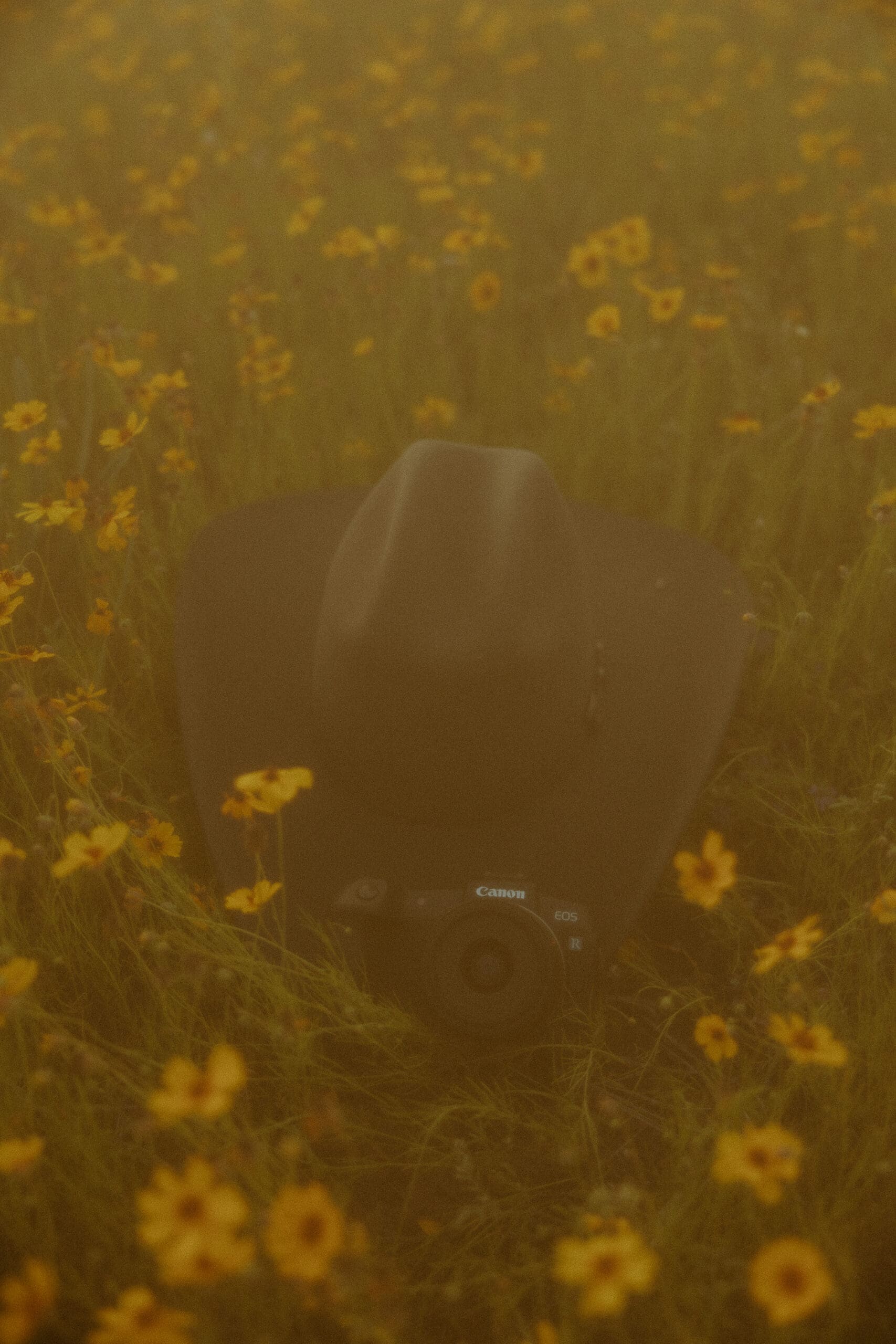 Western themed branding detail image with cowboy hat and camera in yellow flower field in Abilene, TX
